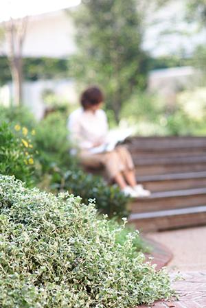 路面融雪「はるかちゃん」について